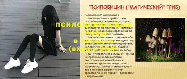 круглые Алексин