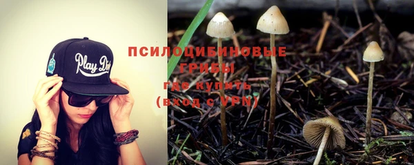 гашик Приозерск