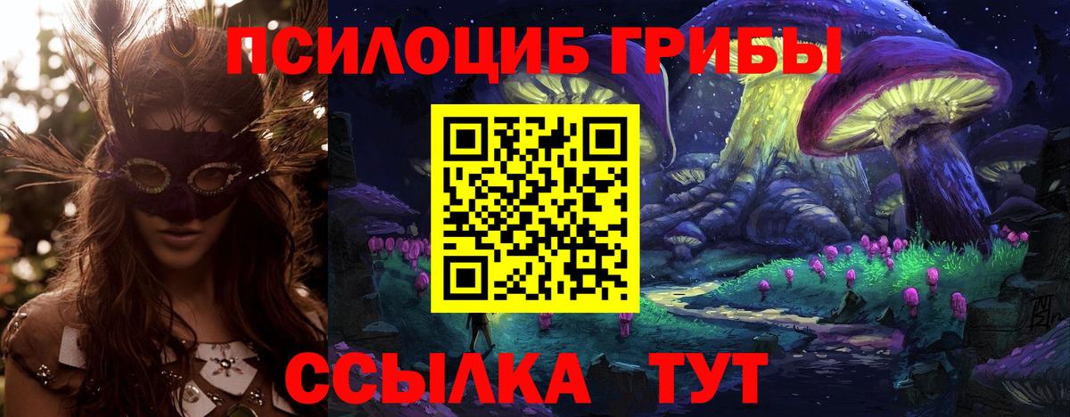 Псилоцибиновые грибы прущие грибы Кизилюрт