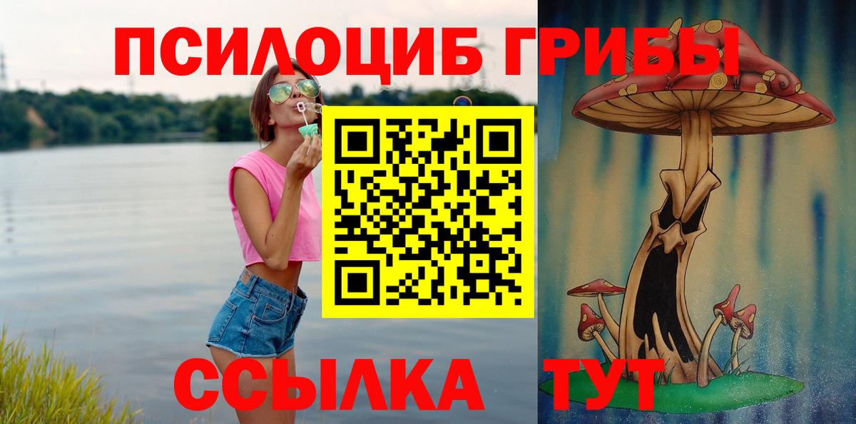Кизилюрт  Галлюциногенные грибы мухоморы  Вход с VPN 